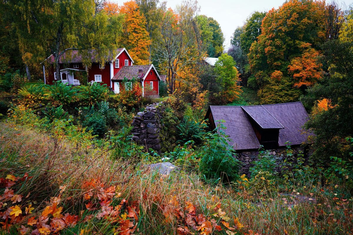 målare väddö